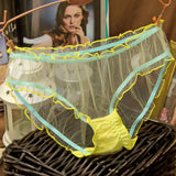 Women's Ultra-Thin Mesh Transparent Panties
